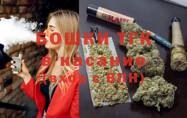 гидра Козловка