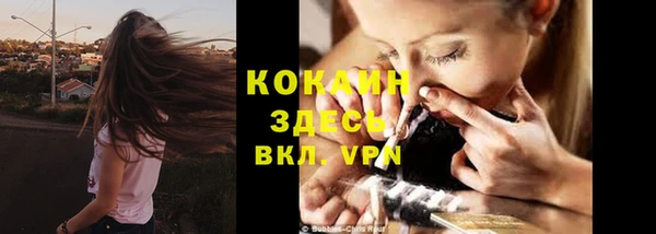 гидра Козловка