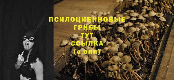 гидра Козловка