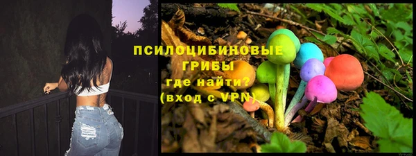 гидра Козловка